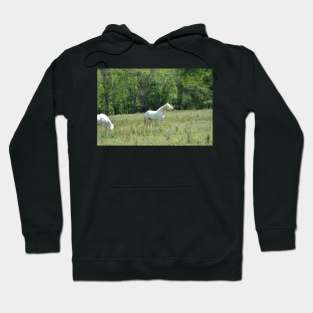 Wild Horse Hoodie